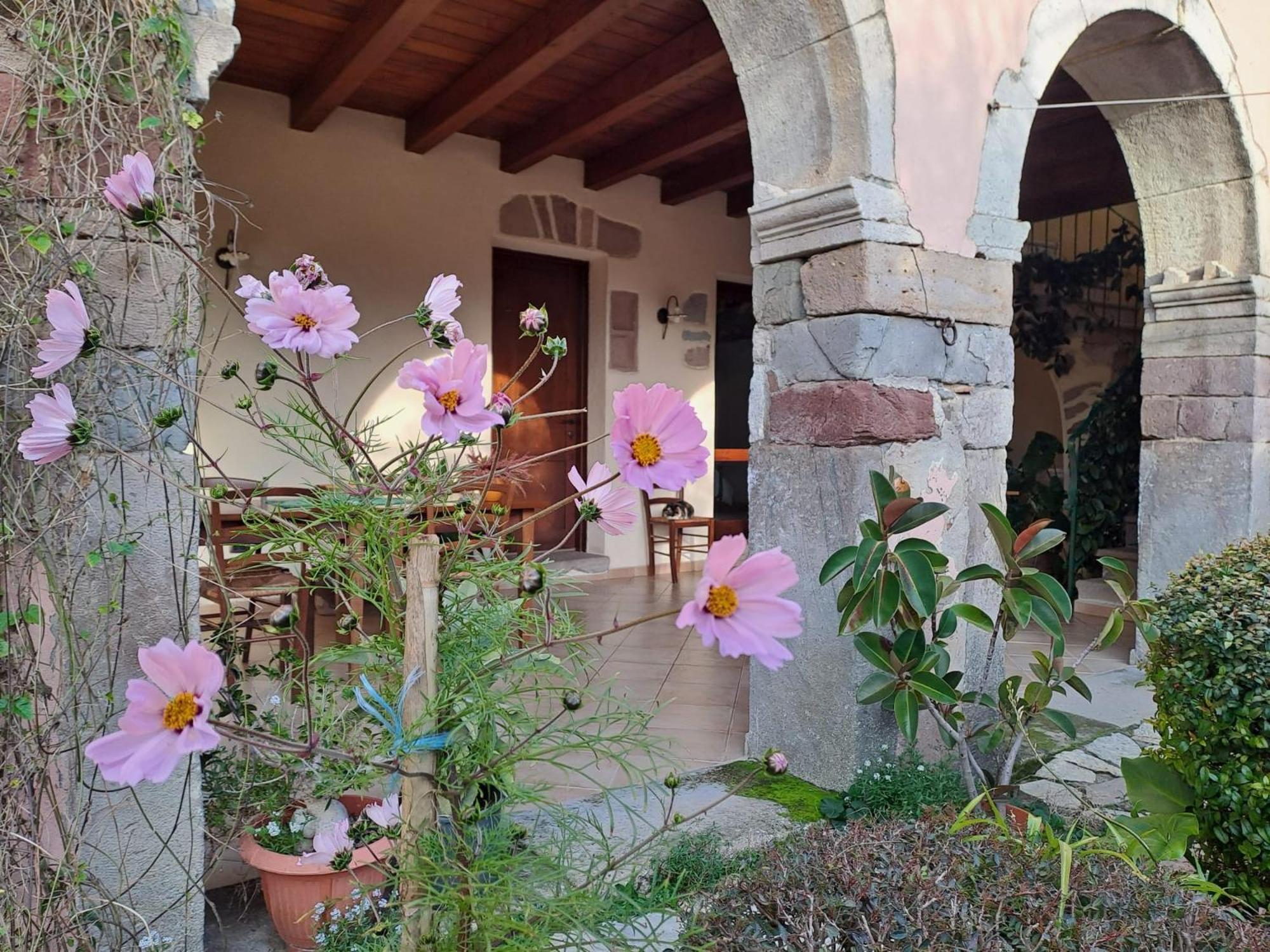 B&B S'Omu Antiga Nureci Экстерьер фото