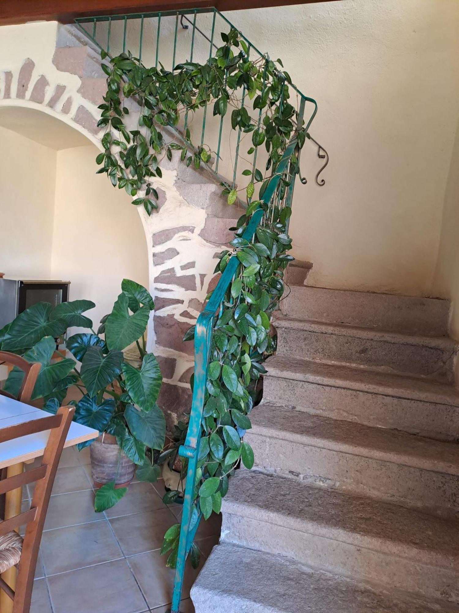 B&B S'Omu Antiga Nureci Экстерьер фото