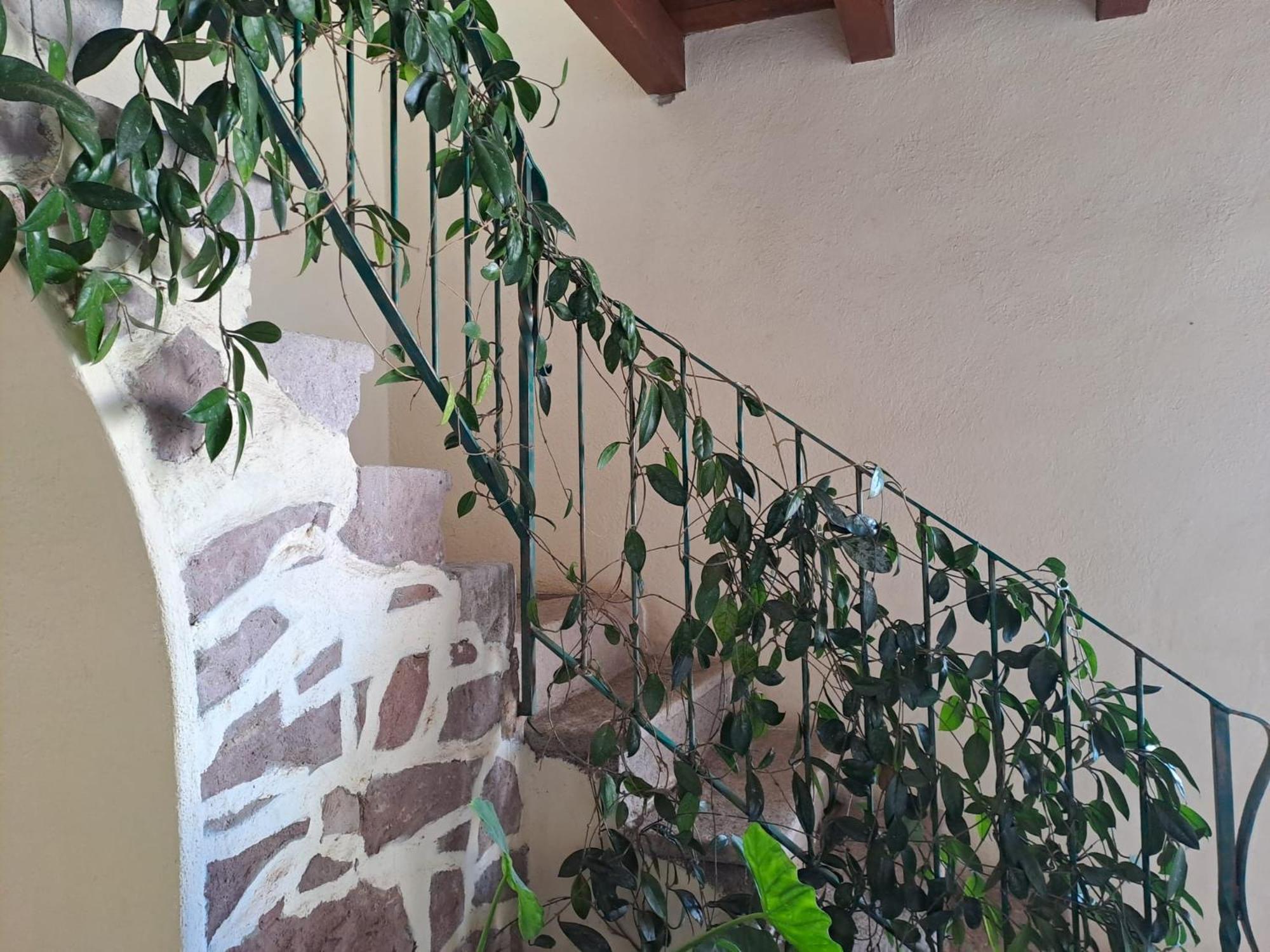 B&B S'Omu Antiga Nureci Экстерьер фото